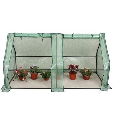 Metallrahmen-PE Portable Outdoor Mini-Garden Walk-In Gewächshaus für die Pflanzung Bedürfnisse