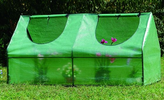 Metallrahmen-PE Portable Outdoor Mini-Garden Walk-In Gewächshaus für die Pflanzung Bedürfnisse