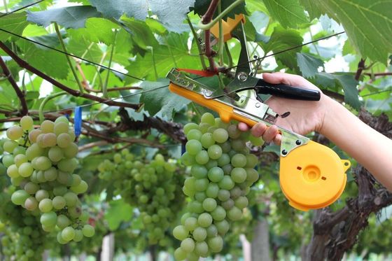 G236B Bandwerkzeug für die Landwirtschaft kundenspezifische Unterstützung und 0,5 kg Gewicht